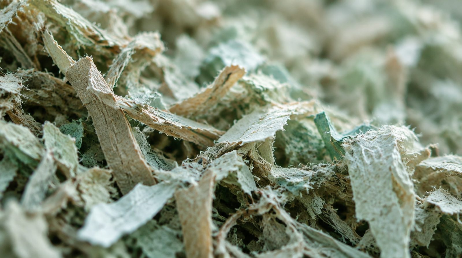Macro of shredded paper-mill fibre